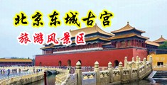 男生用鸡巴插入女生骚逼免费视频中国北京-东城古宫旅游风景区